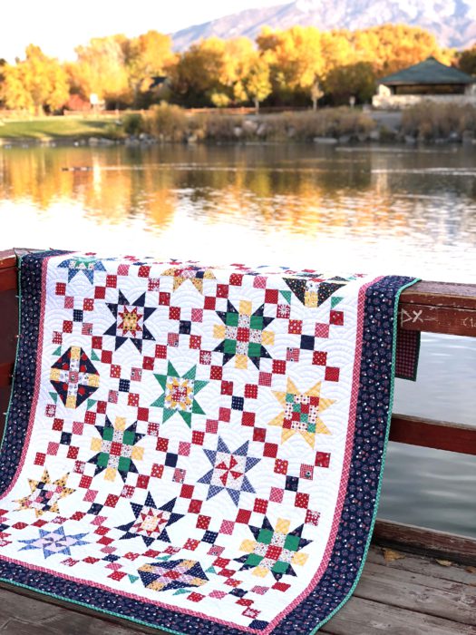 “Meet the Maker” is a Free Sampler Quilt Pattern designed by Amy Smart of Diary of a Quilter from Riley Blake Designs!