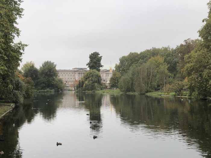 Buckingham Palace from St James park