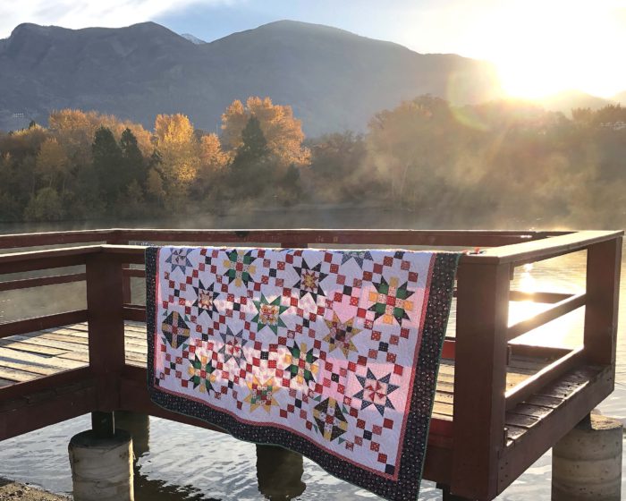Free Sampler Quilt pattern from Amy Smart