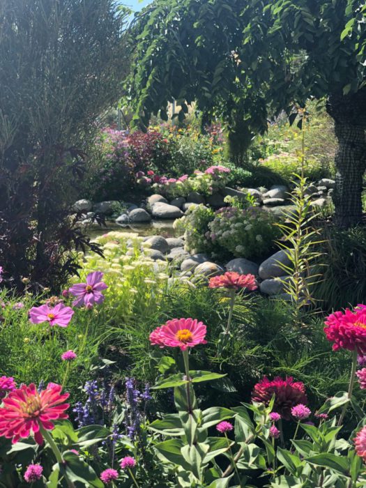 Garden of Quilts 2019 - Thanksgiving Point, Utah by popular quilting blog, Diary of a Quilter: image of a stream inside the Ashton Gardens.