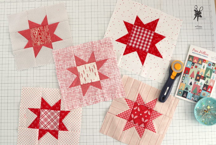 Pine Hollow Quilt Along Week 5 by popular quilting blog, Diary of a Quilter: image of various red and white quilting blocks.