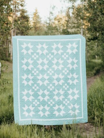 Free Quilt Pattern from Amy Smart - Diary of a Quilter