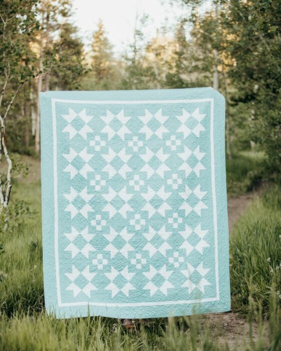 Free Quilt Pattern from Amy Smart - Diary of a Quilter