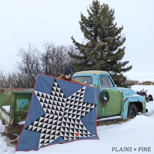 Free Pattern – Modern take on a traditional Half-Square Triangle Star Quilt designed by Lindlee of Plains & Pine
