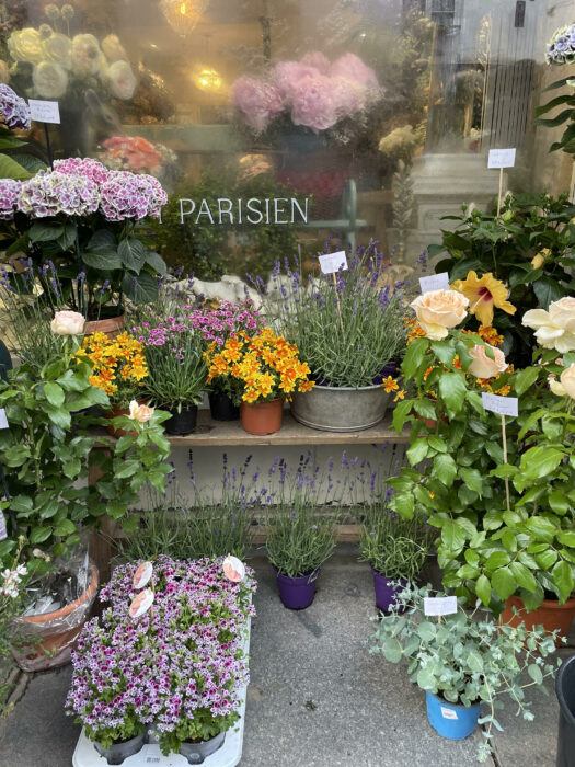 Shopping in Paris Quilt Shopping in Paris Quilt