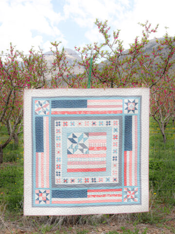 Land That I Love Quilt Pattern by Amy Smart