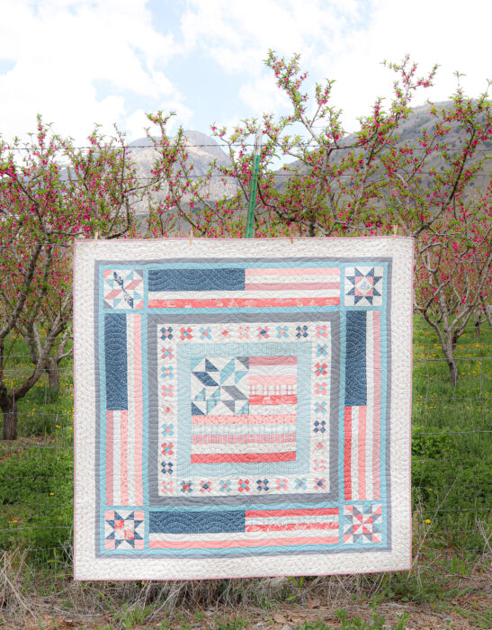 Land That I Love Quilt Pattern by Amy Smart