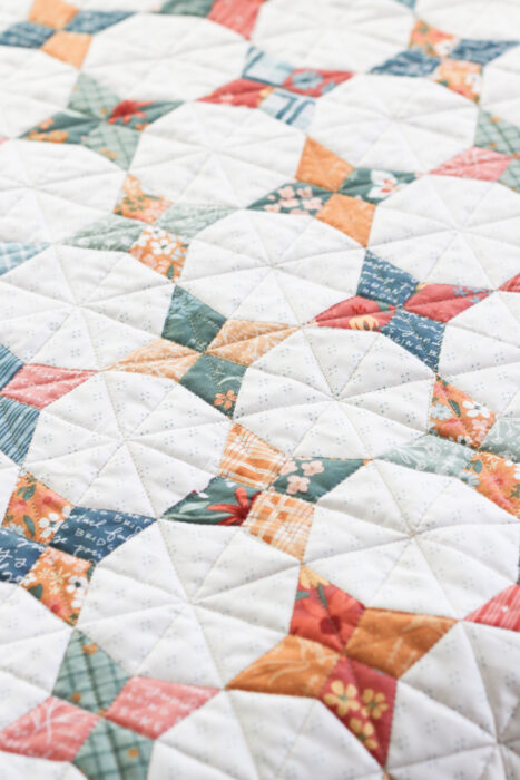 Machine Quilting Tips + Using a 