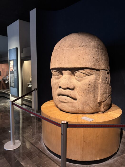 Olmec Head,  museum of Anthropology, Mexico City