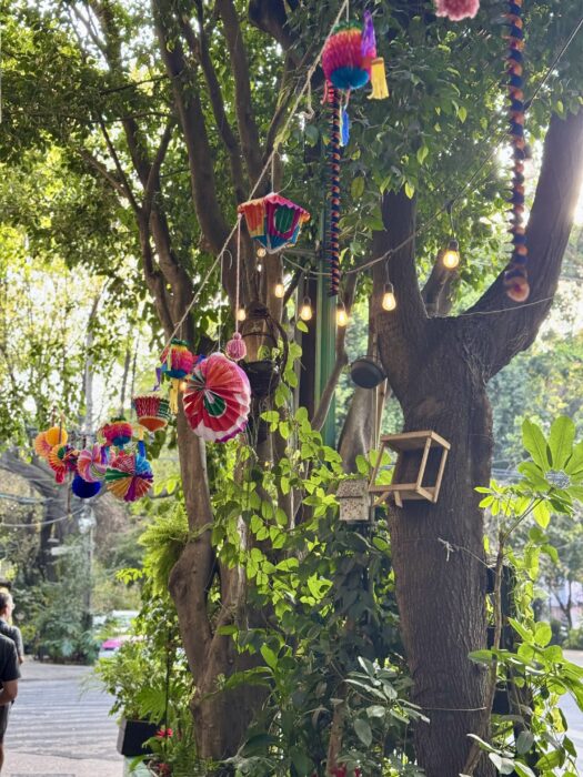 Mexico City, Condesa Neighborhood