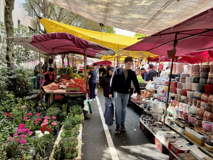 Tuesday outdoor market on Calle Campeche, Condessa, Mexico City