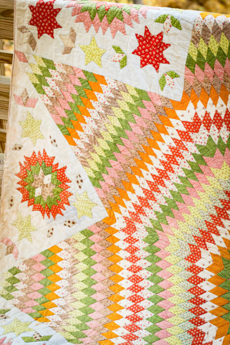 Corner block of the antique Lone Star quilt with a smaller Star of Bethlehem motif and appliquéd leafy shapes.